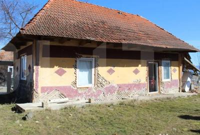 Casă cu 2 camere în Telechia - 5