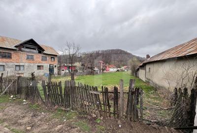 Oportunitate de investitie in Comuna Bezdead - 5