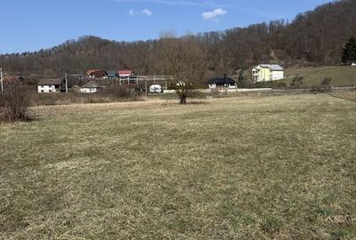 Teren de 6000 mp, în Bizușa-Băi - 6