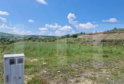 Teren de 1000 mp, în Iris - 2