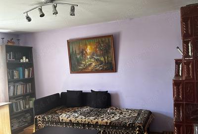 Casă cu 2 camere cu Teren 5000 Mp în Filipești - 1
