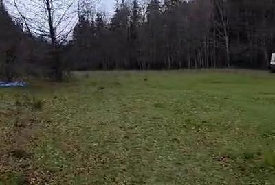Teren de 3000 mp, în Văliug - 2