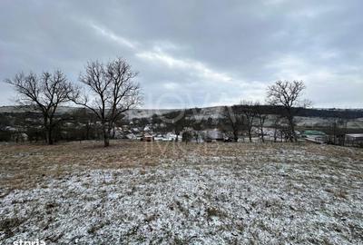 Casă cu 2 camere cu Teren 8356 Mp în Nocrich - 15