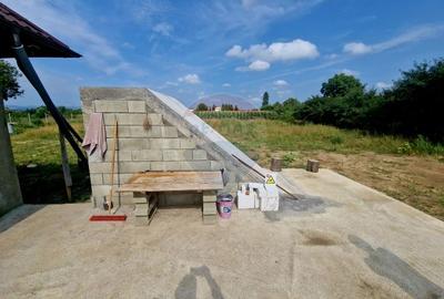 Oaza de liniste: casa cu livada si teren generos - Girov - 32