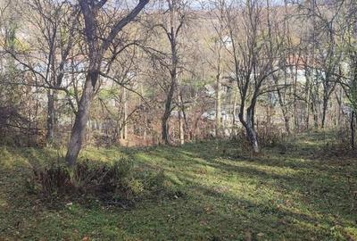 Teren de 3462 mp, în Piatra - 1