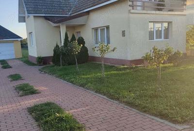 Casa individuala, regim inaltime P+M, teren 1219 mp Remetea Mare, pret 215000 euro - 4