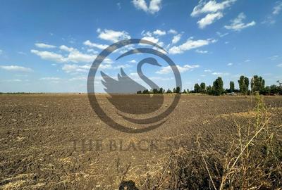 Teren extravilan de vanzare | 9882mp | Berceni - Prahova | Comision 0% - 9