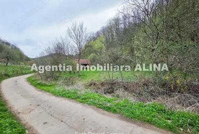 Teren de 9500 mp, în Nojag - 12