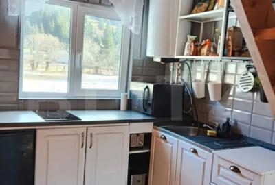 Casă cu 2 camere în Arieșeni - 6