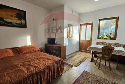 Hotel/Pensiune, de 386.45001220703 mp, în Lisa - 28