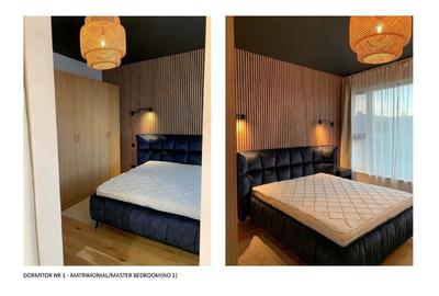 Vila de inchiriat 4 camere Tunari Bucuresti - 4