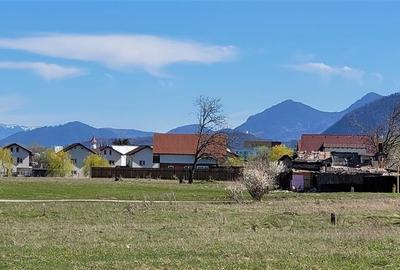 50.000mp teren intravilan, Clasa Master,  in Brasov spre Stupini - 3