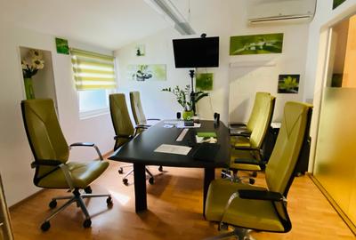 Dorobanti-cladire pretabila pentru clinica medicala, birouri sau comercial - 4