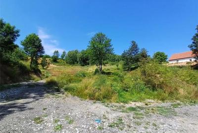 Teren de 4500 mp, în Brebu - 3