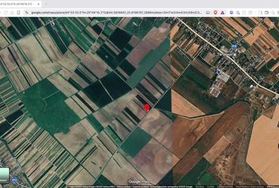 Teren extravilan agricol 10.000 mp Tartasesti - 2