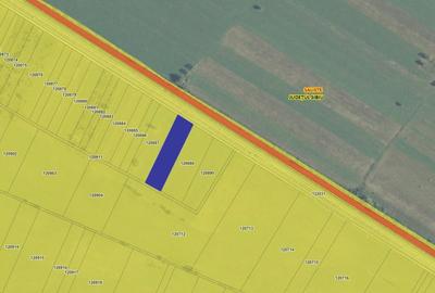 Teren Construcții intravilan de 3000 mp, în Exterior Est - 3