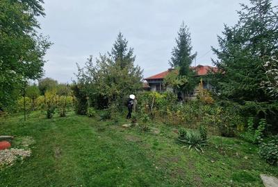 Casa +Teren1300mp[livada+vie] Sat Izvoru Giurgiu - 1