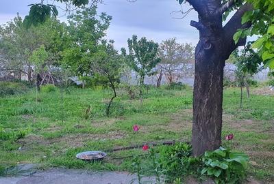 Casă cu 6 camere în Moldoveni - 3