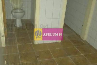 Vila P+1+pod- Parcul Ioanid - 8