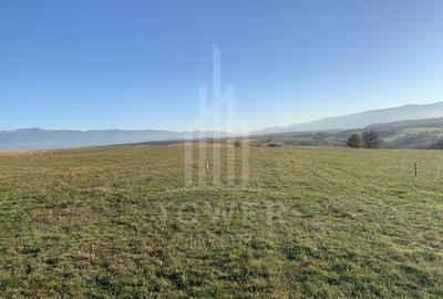 Teren pentru constructie cabana in Dealul Daii-parcele de 650 mp - 2