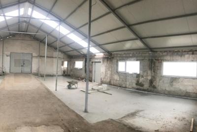 Hala Industriala, 175 mp, zona Exterior Sud - 1