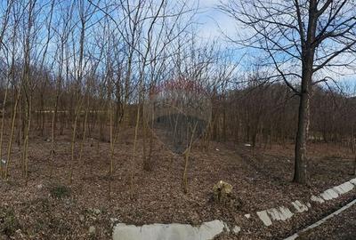 Spațiu comercial, în Căzănești - 4