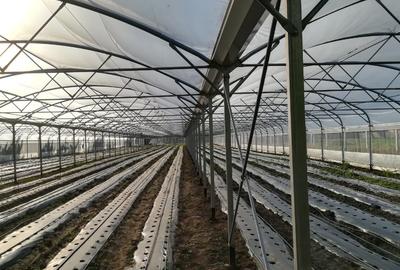 De vanzare sera legume spatiu de depozitare si utilaje agricole - 9