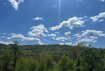 Casă individuală cu 2 camere cu Canalizare în Căpățânenii Pământeni - 1