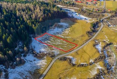 Teren intravilan de 10000 mp, în Brădet - 3