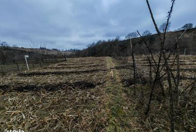 Spațiu comercial, în Măgura - 4
