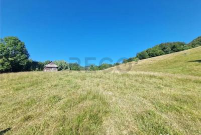 Teren de 31258 mp, în Remeți - 4