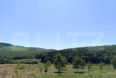 Teren 10200mp , toate utilitatile , la 10 km de DEJ Teren 10200mp , toate utilitatile , la 10 km de DEJ - 1