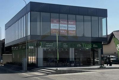 SPATIU COMERCIAL 230 mp