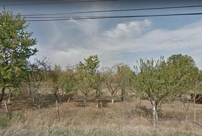 Teren extravilan, Sebes, Jud. Alba -id 9910 - 2