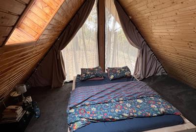 Casă cu 4 camere cu Teren 5000 Mp în Pietreni - 2