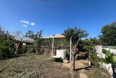 Casă cu 3 camere în Cudalbi - 3