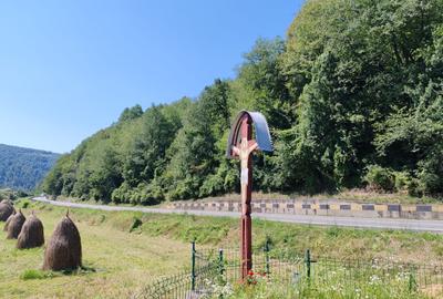 2500 mp TEREN INTRAVILAN MUNTII APUSENI, Negreni – Cluj, E60 - Mal Crisul Repede - 24