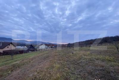 Teren de 1000 mp, în Unirea