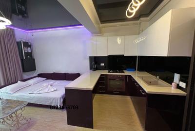 2 camere de inchiriat Building Ștefan Lake 450 euro/ luna - 2