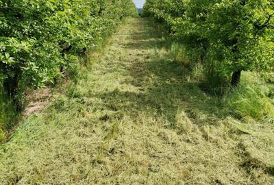 Spațiu comercial, în Buciumi - 5