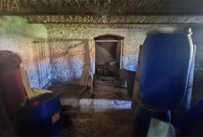 Casa saseasca autentica, Livezile Jud Bistrita-Nasaud - 7