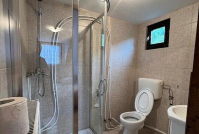 Cabana de 210mp, 2600 mp teren, in Rachitele - 5