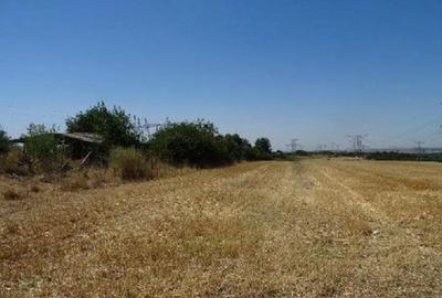 Teren extravilan Cernavoda, ID: R2755634 Teren extravilan Cernavoda, ID: R2755634 - 9