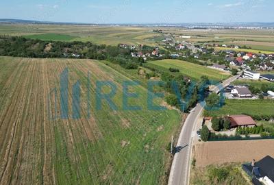 Teren de 7366 mp, în Sărata (Sărata) - 3