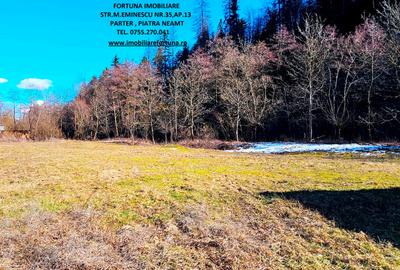 Casă cu 5 camere cu Teren 1400 Mp în Sud-Est - 12