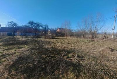 Teren de 800 mp, în Suseni - 2
