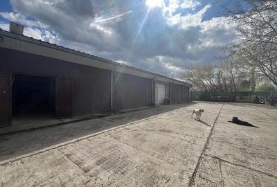 Spațiu comercial, de 580 mp, în Holboca - 2