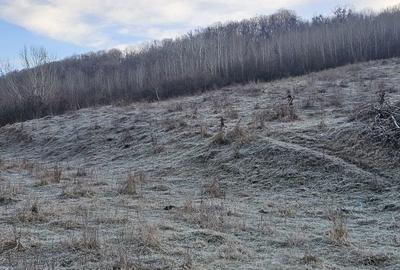 Spațiu comercial, în Central - 3