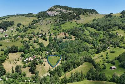 Comision 0% | Teren intravilan 2068 mp | Magura | Piatra Craiului - 3