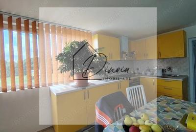 Casa Ciocanesti Cretu - 2 camere cu teren 2539 mp - Jud. Dambovita - 18